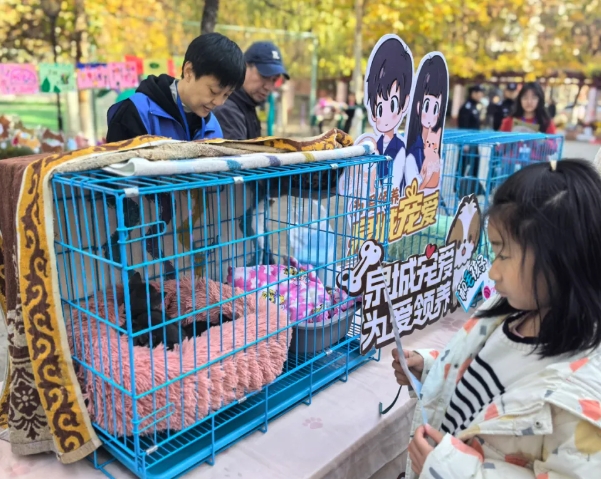 文明養(yǎng)寵，寵愛有方！魯商服務(wù)萌寵生活節(jié)圓滿落幕